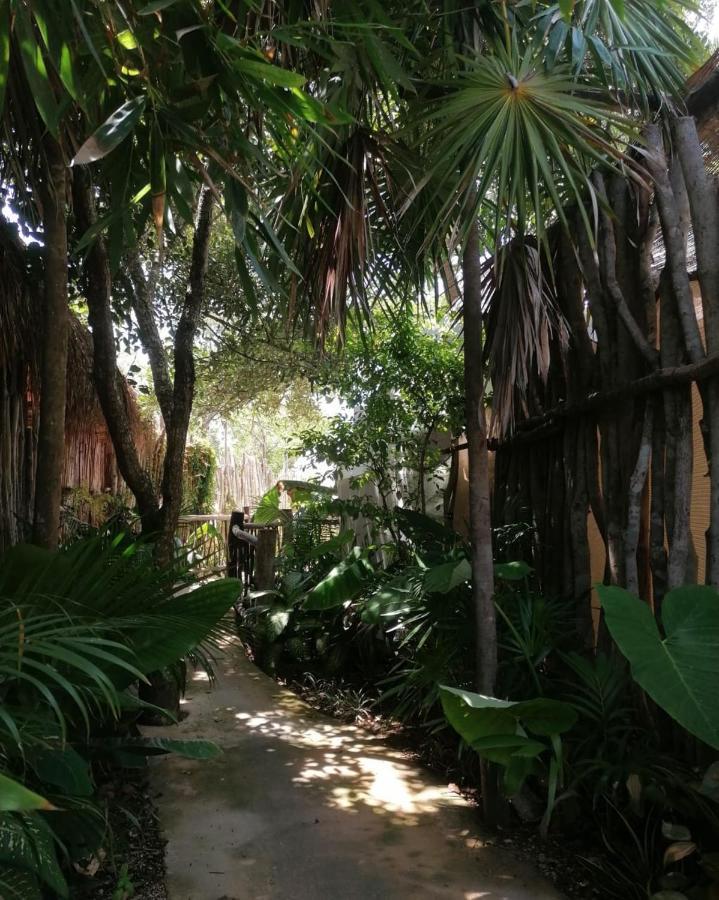 Cozy Room Near The Beach, Party Zone Τουλούμ Εξωτερικό φωτογραφία